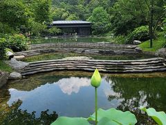 -云溪植物园