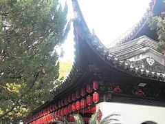 -秋霞圃