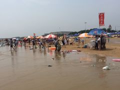 -日照海滨国家森林公园