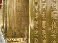 -龙口南山旅游景区