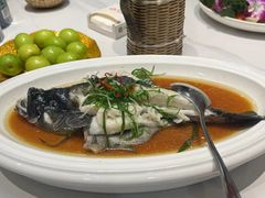 -鹭岛新泉客家菜·海鲜·融合菜(莲前店)