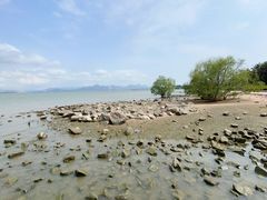 -深圳湾公园(南山区)