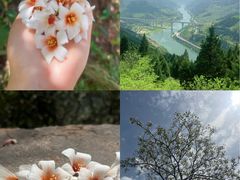 -舒家湾天主教堂