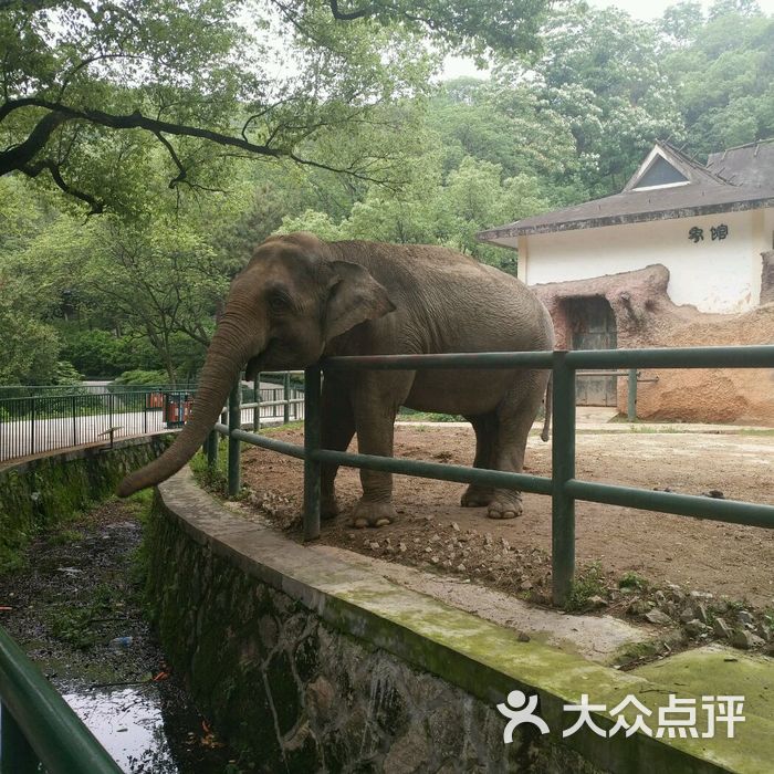 溫州動物園