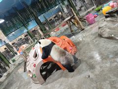 -栾川竹海野生动物园