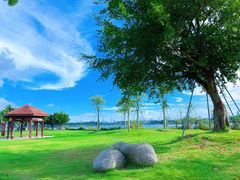 -露天矿生态公园