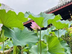 -帝京日语(春熙路旗舰校区)