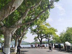 -浙江省博物馆(孤山馆区)