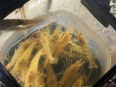 -DGE季风钓虾营地·团建·聚会