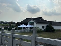 -莲花岛景区