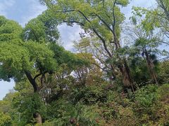 -白沙古井