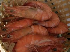 -亮马河饭店翠雅咖啡厅