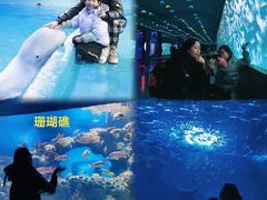 -多彩贵州城极地海洋世界