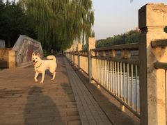 -宠颐生中康贝怡动物医院