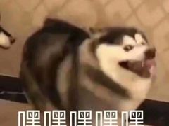 -海底捞火锅(亲子主题北金鹰店)