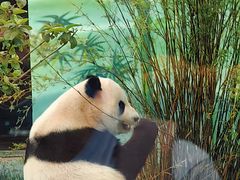 -无锡动物园·太湖欢乐园