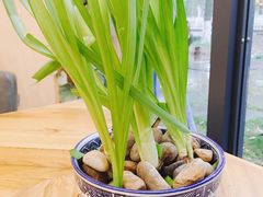 -外婆船宴餐厅·外婆喊你回家吃饭