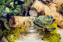 -三色锦婚礼定制