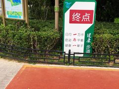 -大兴滨河森林公园