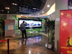 -天幕新彩云国际影城(激光巨幕店)