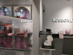 -ROSEONLY诺誓(广州K11店)