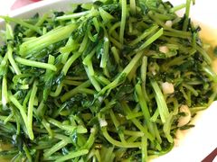 -俭朴菜(鲁磨路店)