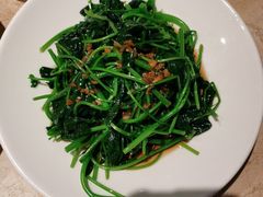 -佬肥猫(七宝宝龙店)