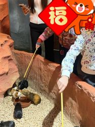 -Zoolung Zoolung动物主题公园(海信广场店)