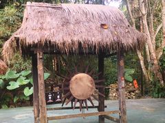 -西双版纳基诺山寨