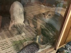 -边渡咖啡烘焙店(昙华林店)