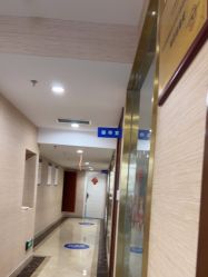 -碧莲盛·不剃发植发