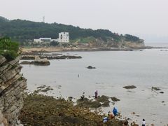 -养马岛旅游度假区