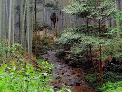 -黄公望隐居地