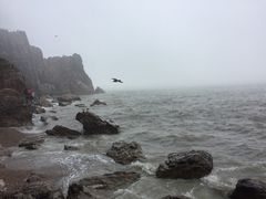 -海驴岛(荣成市)