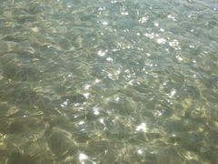 -西涌国际滨海旅游区