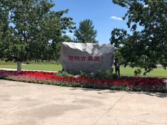 -御林古桑园