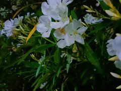 -江南大学(蠡湖校区)