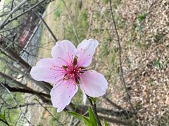 -山东大学(兴隆山校区)