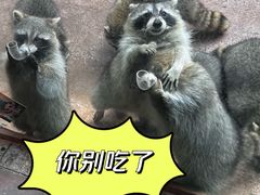-杭州野生动物世界