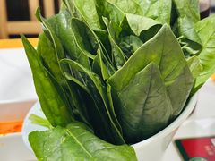 菠菜-曲氏老北京铜锅涮肉•火锅(不老街店)