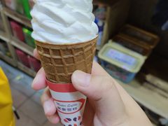 -富豪雪糕车流动点(尖沙咀店)