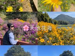 -广州市石门国家森林公园