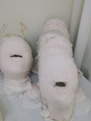 -VE专注问题肌·赛诺龙&科学美肤中心