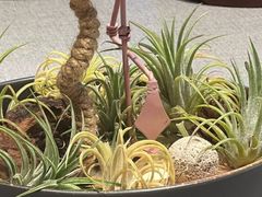 -虹御轩·传承江浙菜(虹桥店)