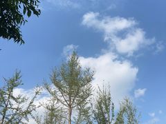 -蓟州溶洞风景区