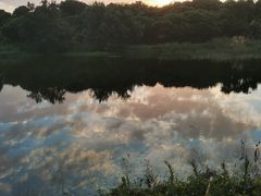 -鹤之洲湿地公园