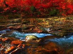 -丹东天桥沟景区