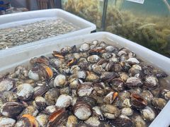 -九层海鲜塔(市南店)
