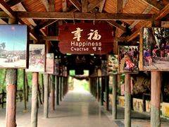 -海南槟榔谷黎苗文化旅游区