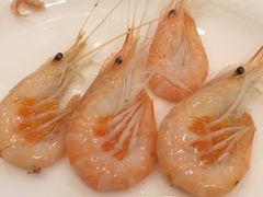 -普陀山祥生大酒店